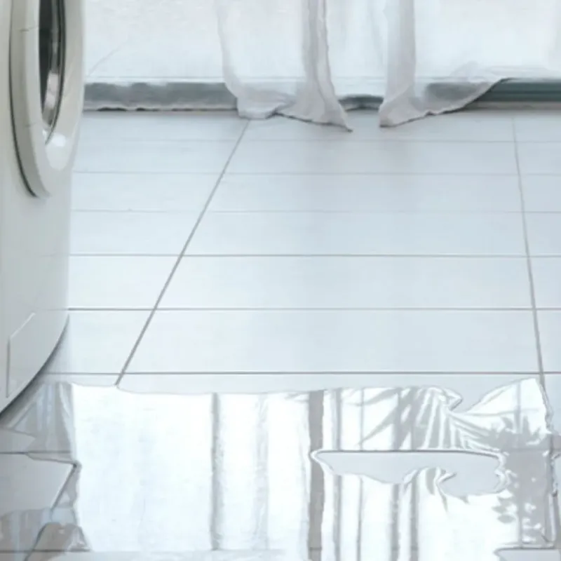Appliance Leak Cleanup in Claiborne County, TN