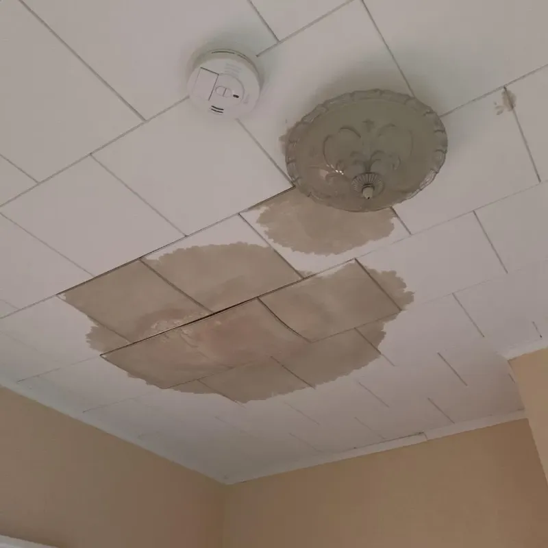 Ceiling Water Damage Repair in Claiborne County, TN