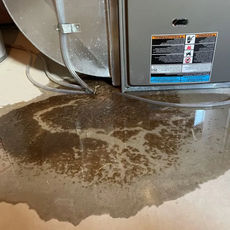 Pipe Burst and Leak Restoration in Claiborne County, TN