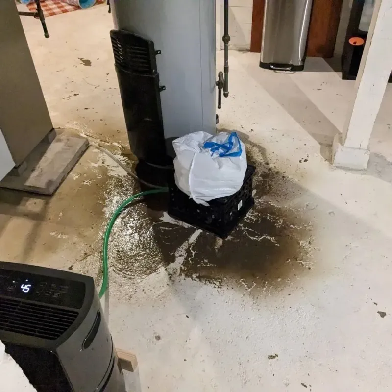 Sewage Backup Cleanup Service in Claiborne County, TN